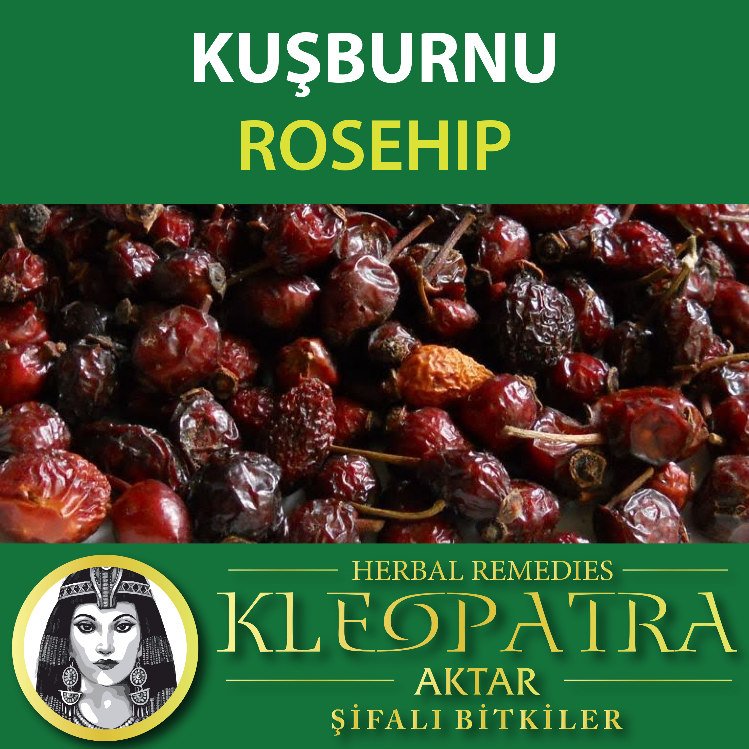 KUŞBURNU