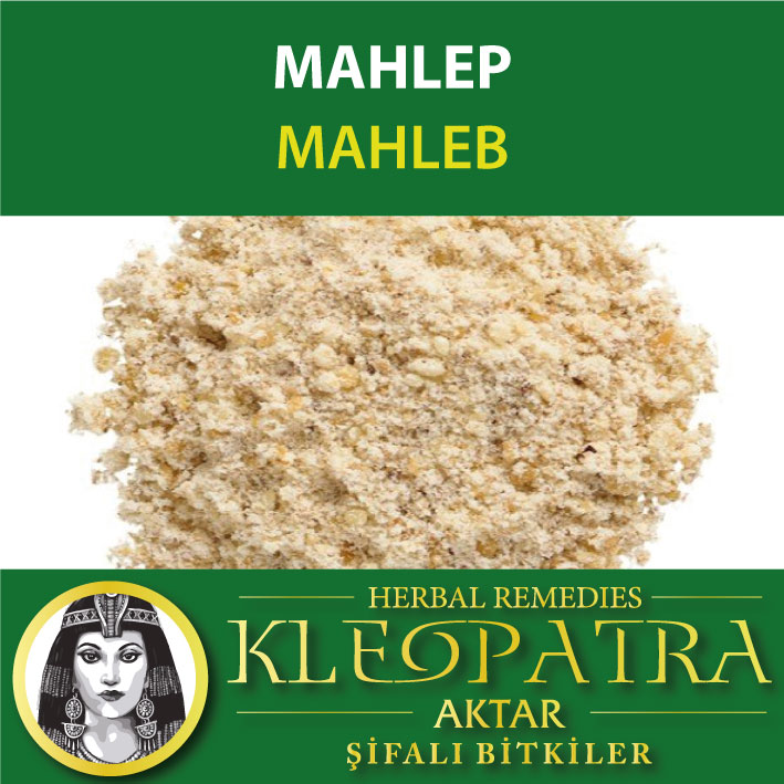 MAHLEP
