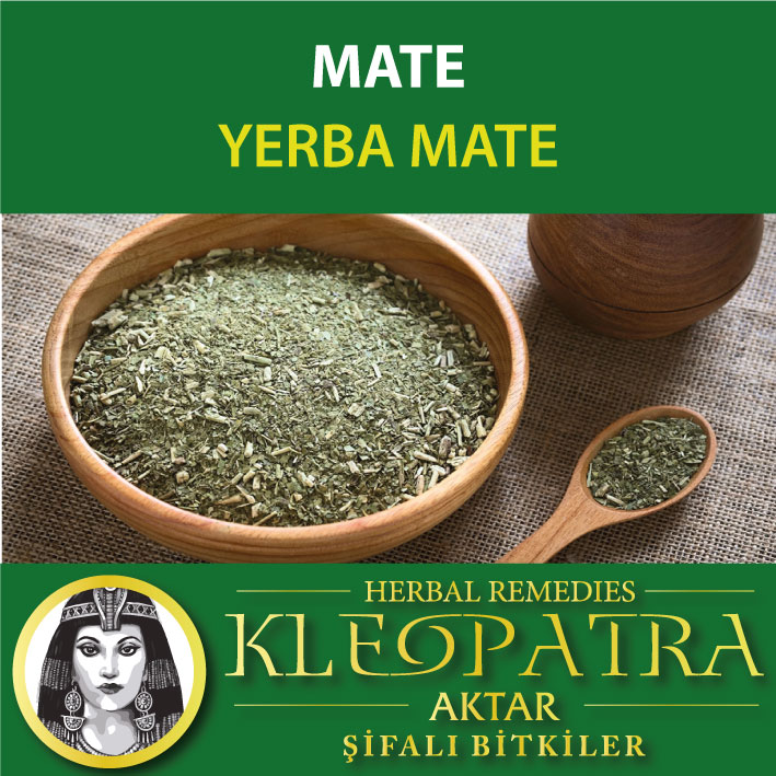 MATE