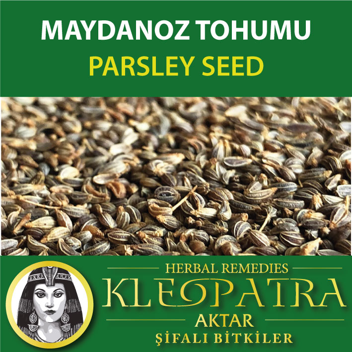 MAYDANOZ TOHUMU