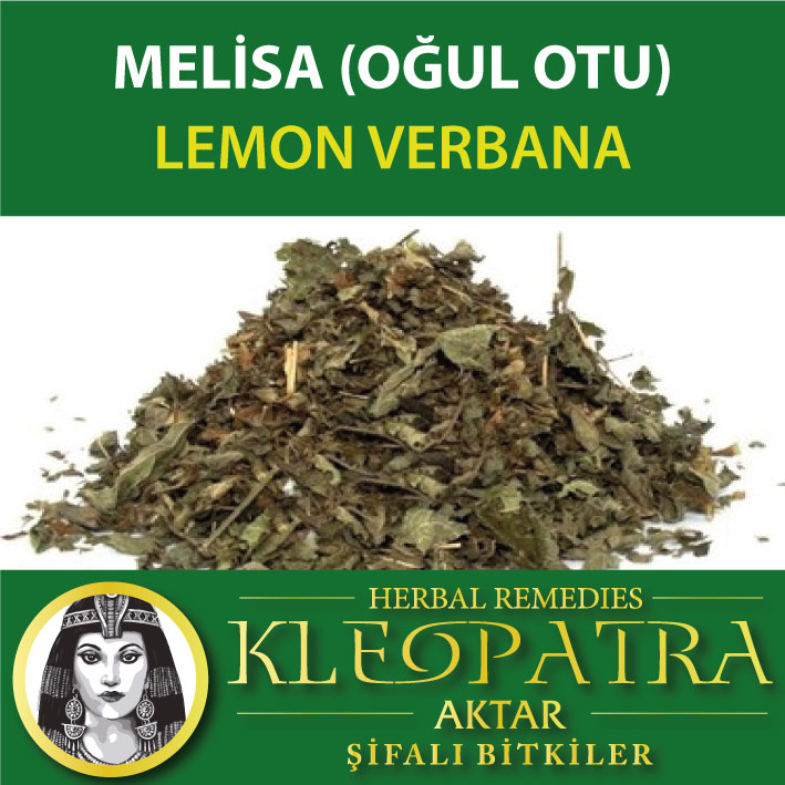 MELİSA (OĞUL OTU)