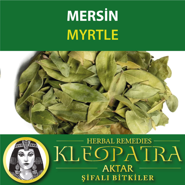 MERSİN
