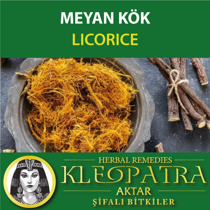 MEYAN KÖK