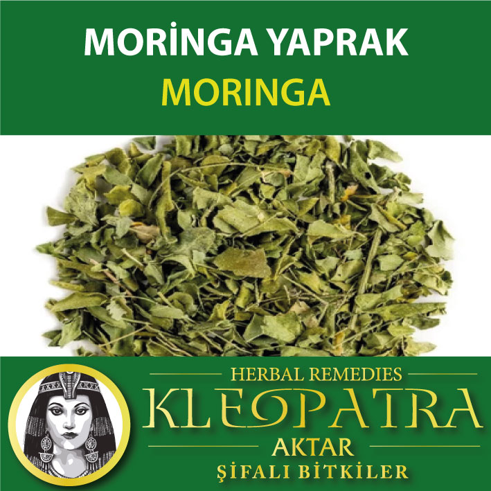 MORİNGA YAPRAK