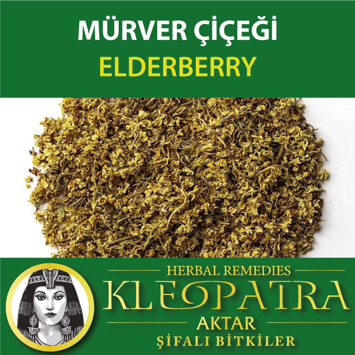 MÜRVER ÇİÇEĞİ