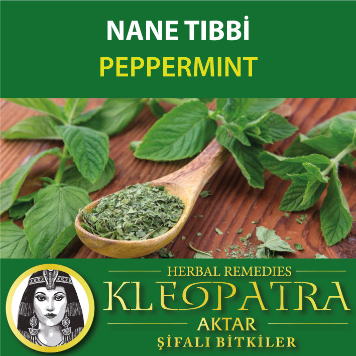 NANE TIBBİ