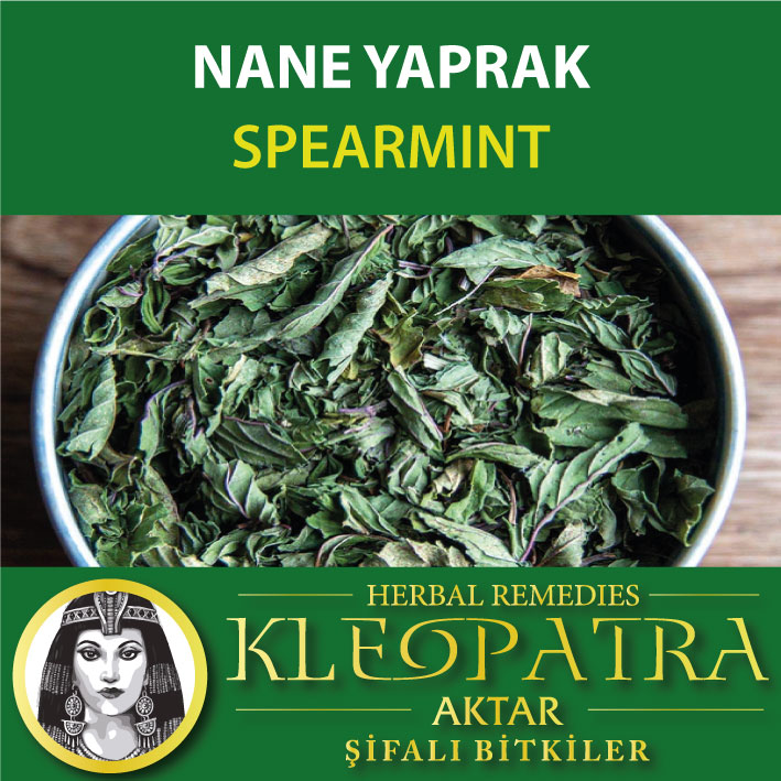 NANE YAPRAK