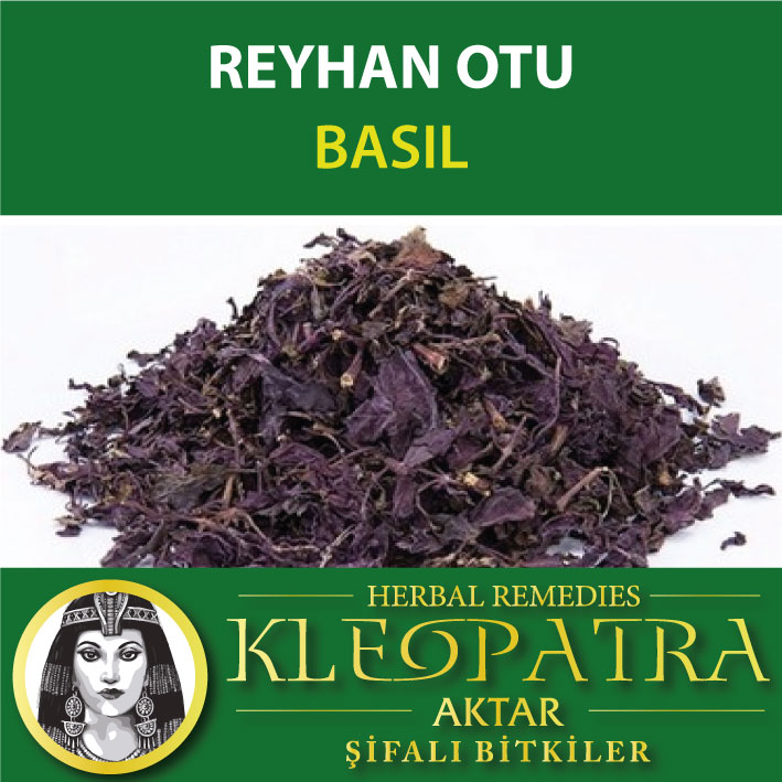 REYHAN OTU
