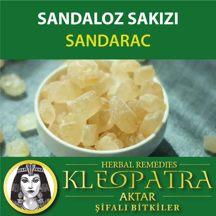 SANDALOZ SAKIZI