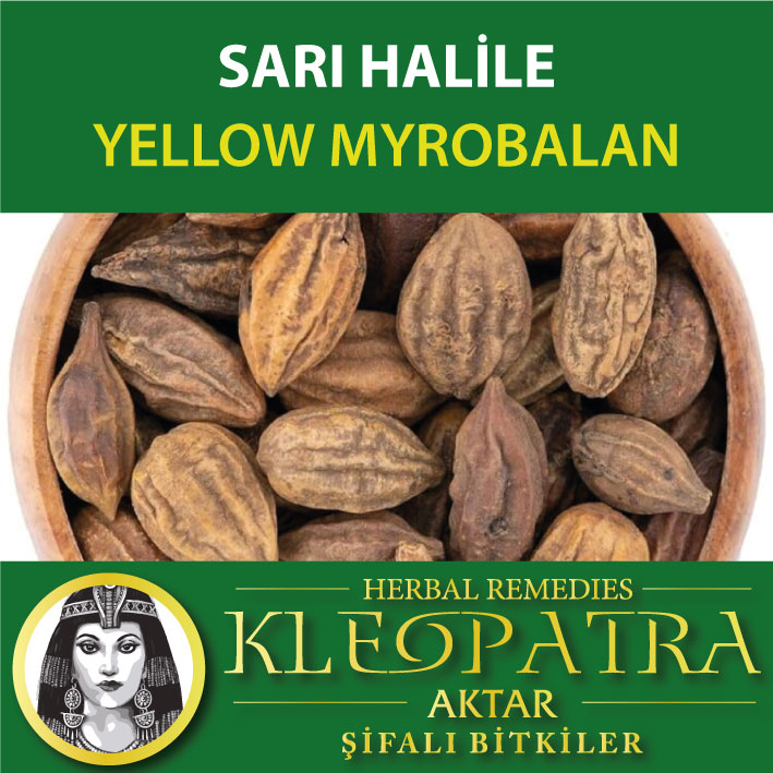 SARI HALİLE