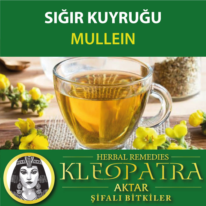 SIĞIR KUYRUĞU