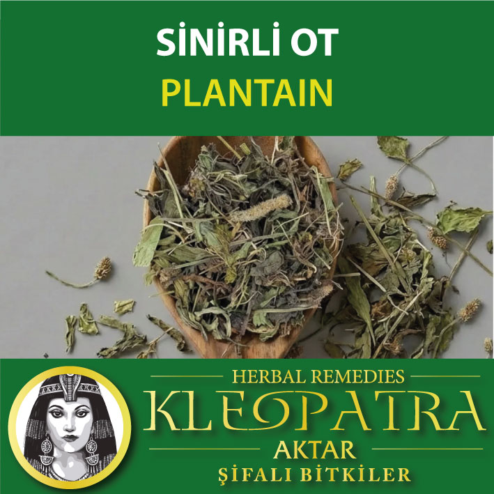 SİNİRLİ OT
