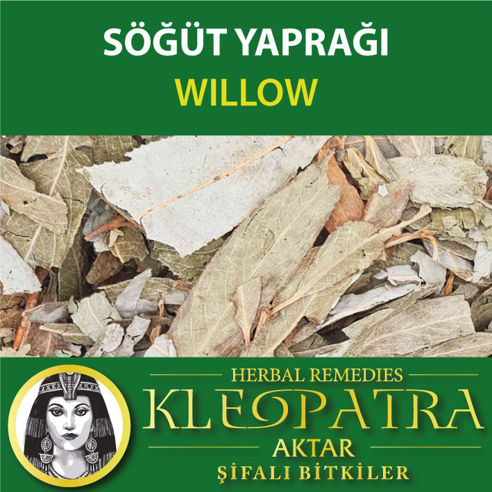 SÖĞÜT YAPRAĞI