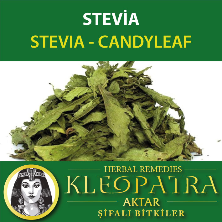 STEVİA