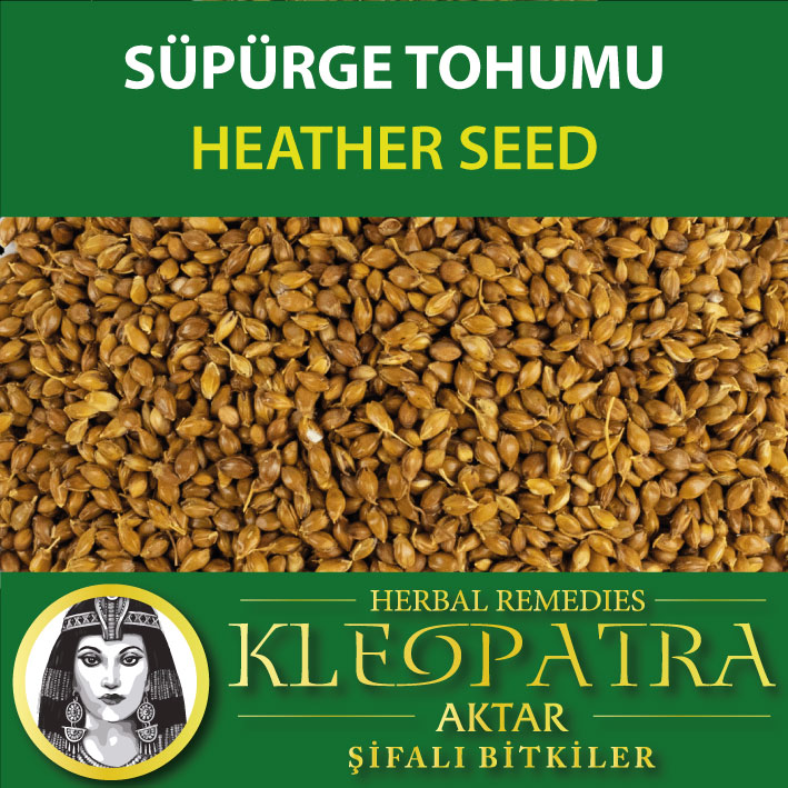 SÜPÜRGE TOHUMU