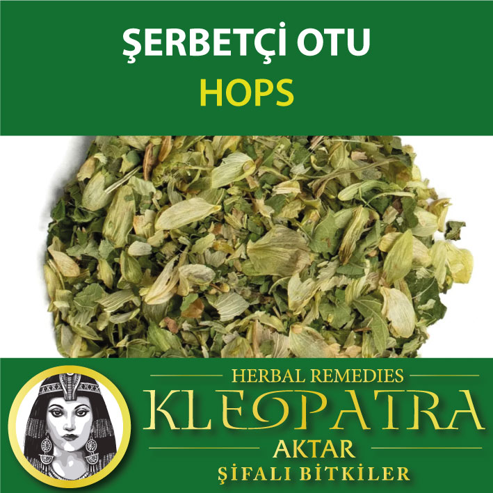 ŞERBETÇİ OTU