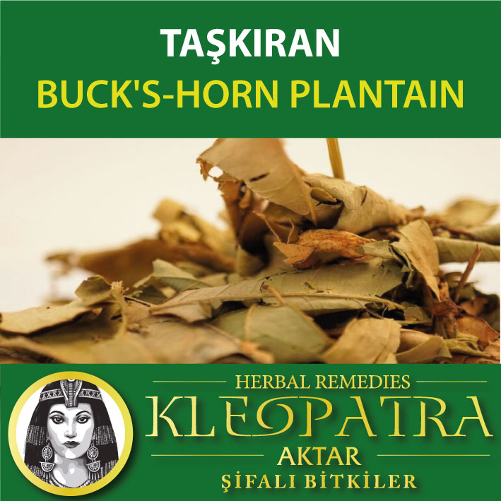 TAŞKIRAN