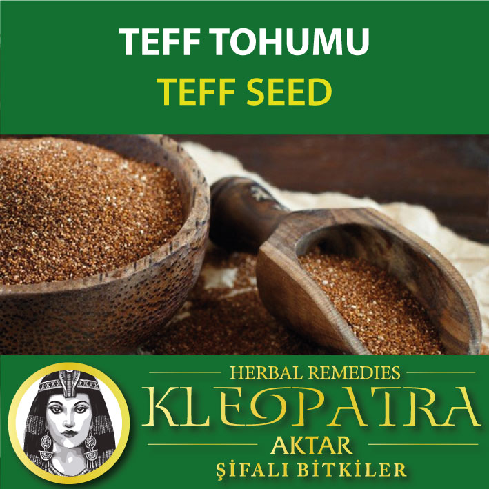 TEFF TOHUMU