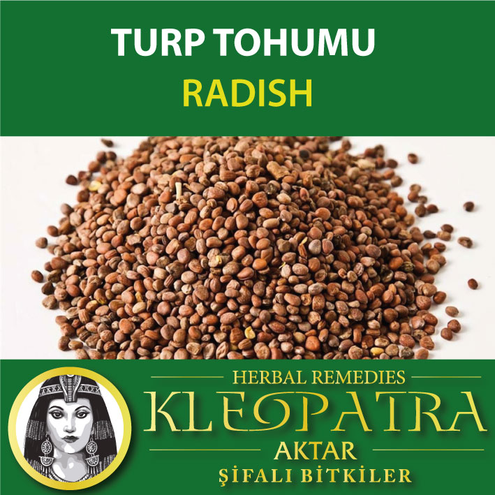 TURP TOHUMU