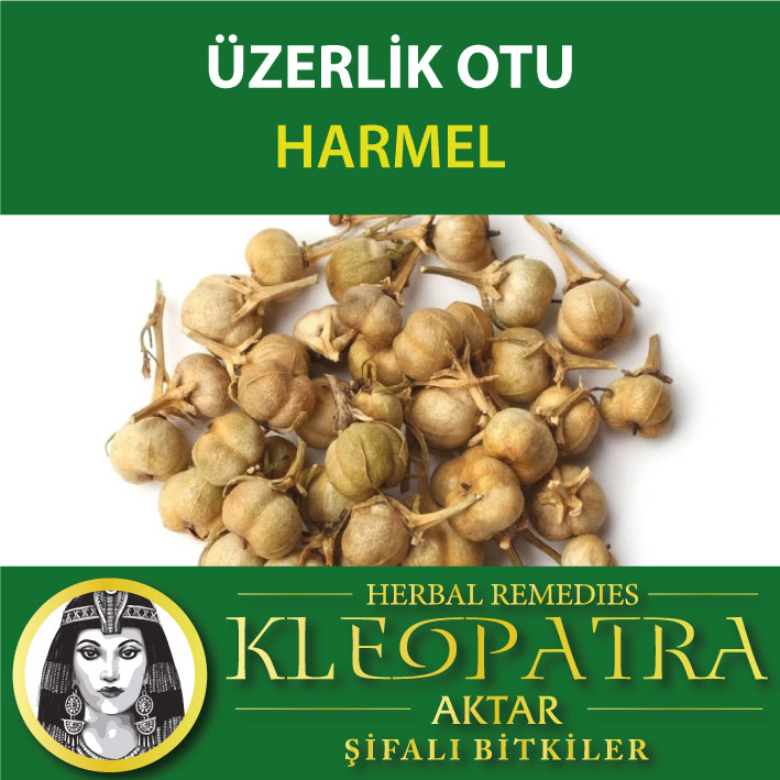ÜZERLİK OTU