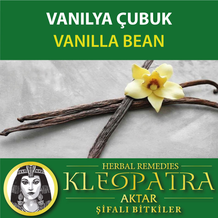 VANILYA ÇUBUK