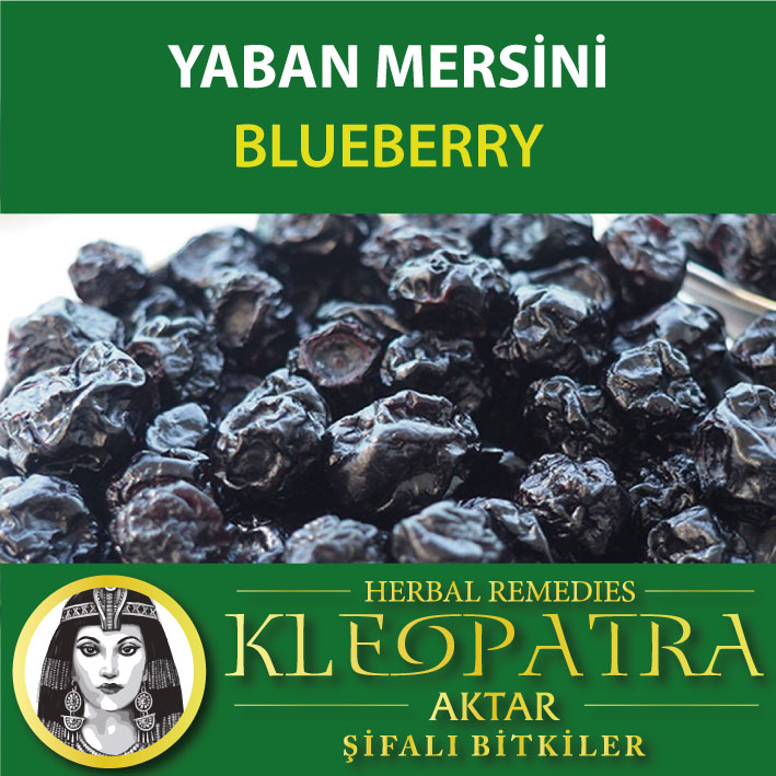YABAN MERSİNİ