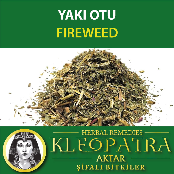 YAKI OTU