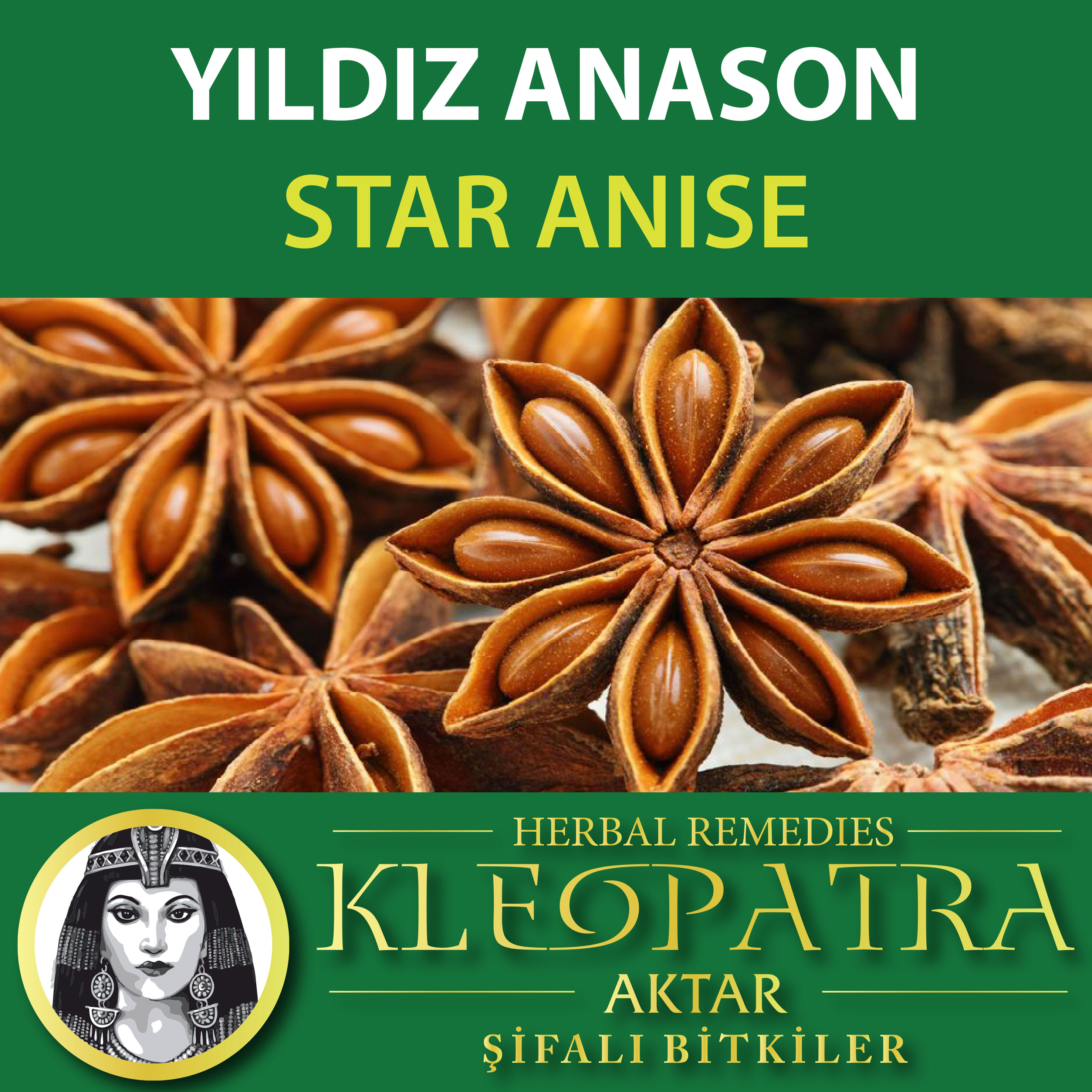 YILDIZ ANASON