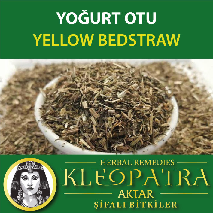 YOĞURT OTU