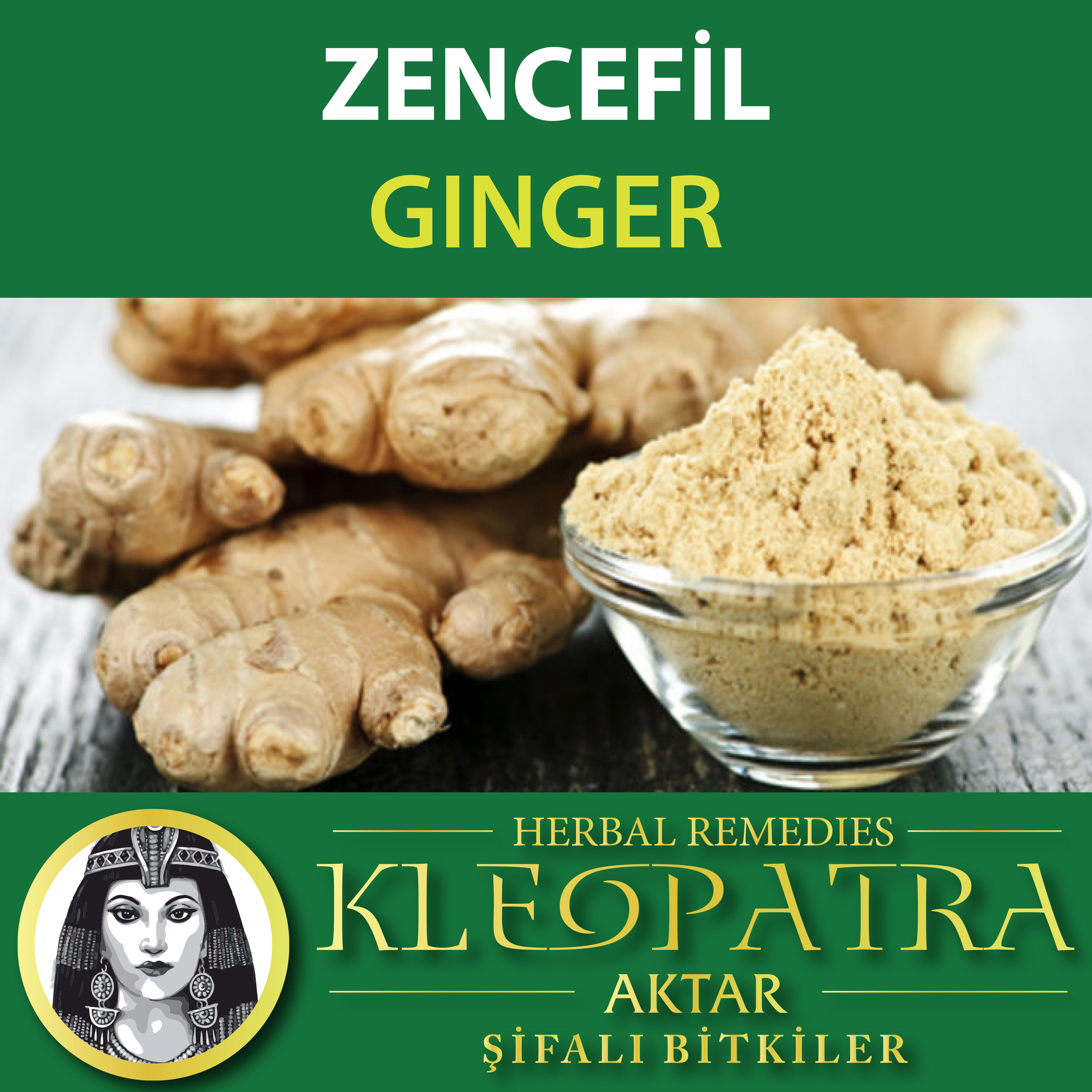 ZENCEFİL