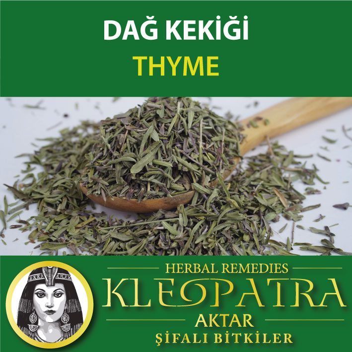 DAĞ KEKİĞİ