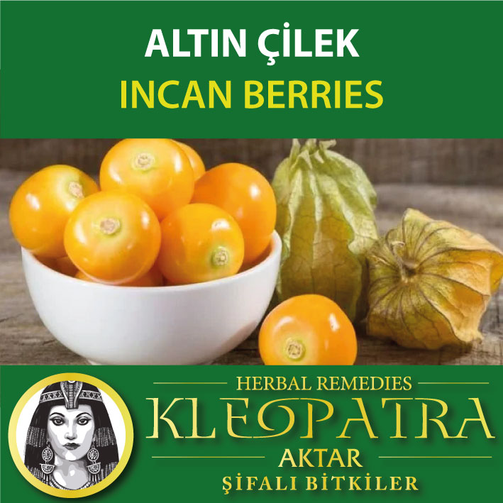 ALTIN ÇİLEK
