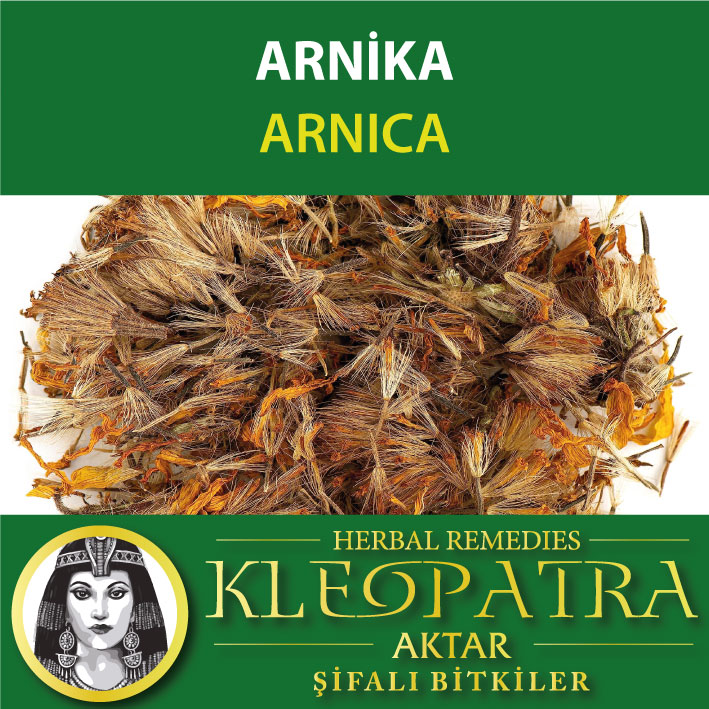 ARNİKA