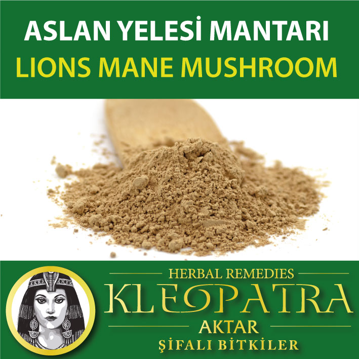 ASLAN YELESİ MANTARI TOZU
