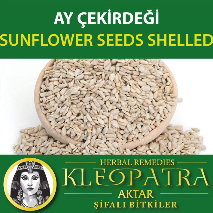 AY ÇEKİRDEĞİ
