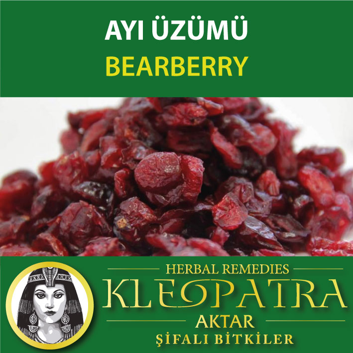 AYI ÜZÜMÜ