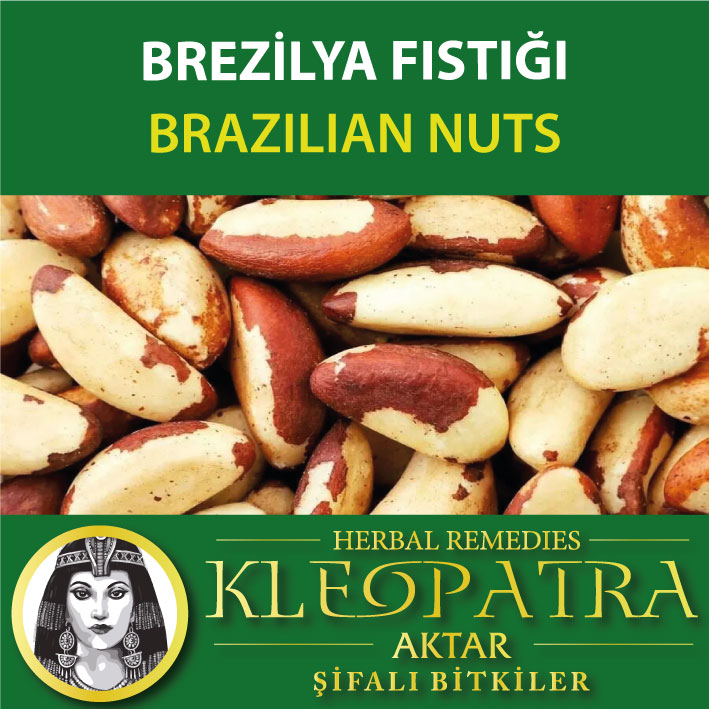 BREZİLYA FISTIĞI