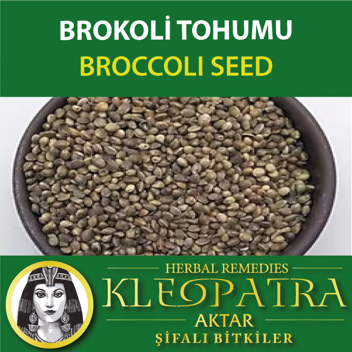 BROKOLİ TOHUMU