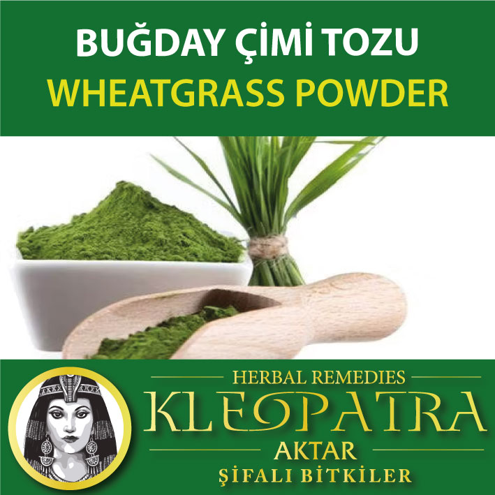 BUĞDAY ÇİMİ TOZU