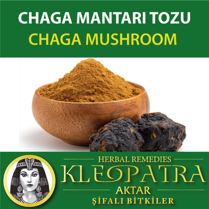 CHAGA MANTARI TOZU