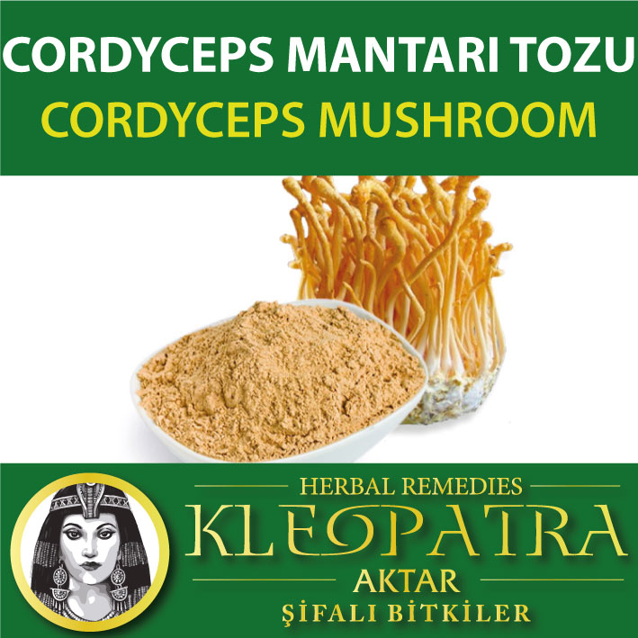 CORDYCEPS MANTARI TOZU