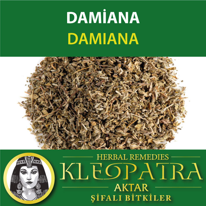DAMİANA