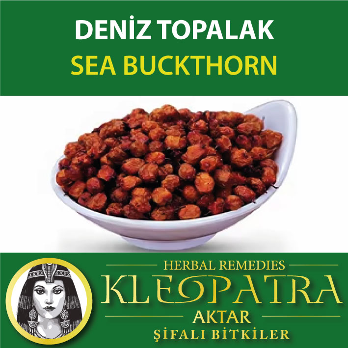 DENİZ TOPALAK