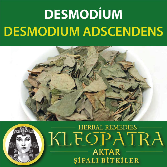 DESMODİUM