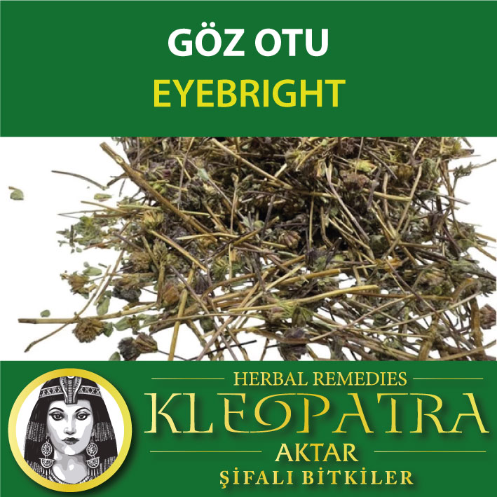 GÖZ OTU