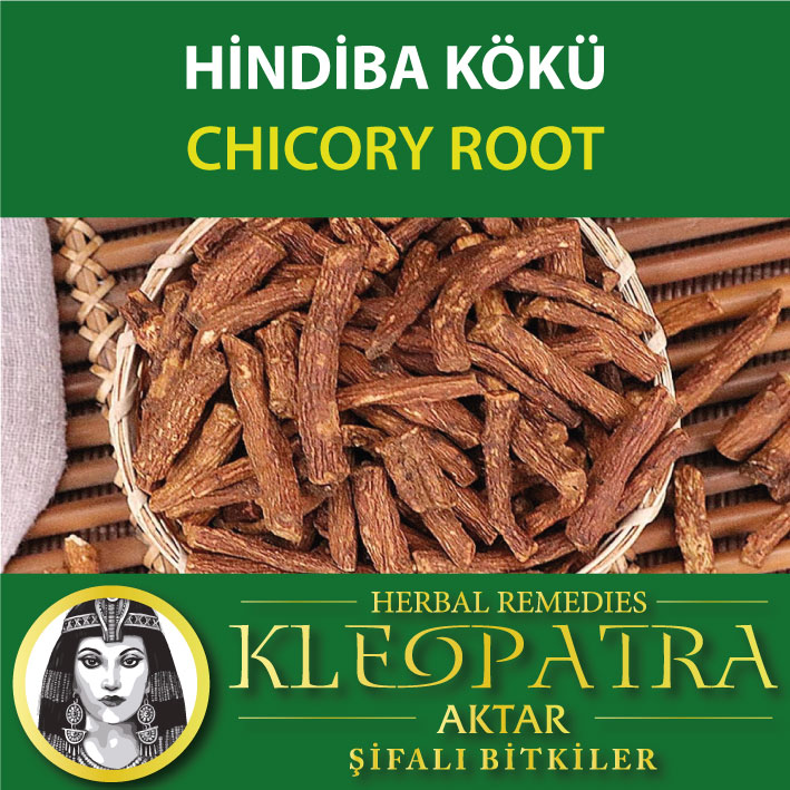 HİNDİBA KÖKÜ