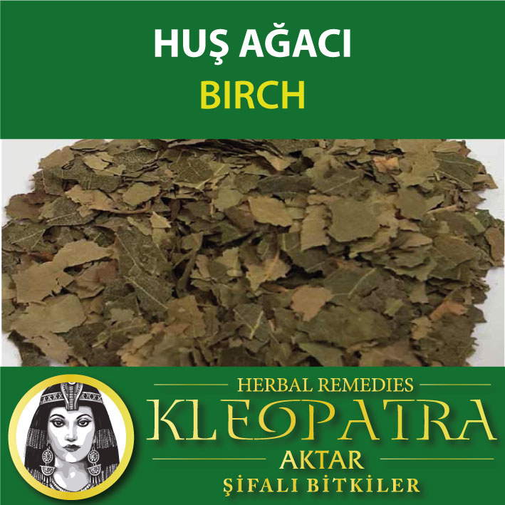 HUŞ AĞACI