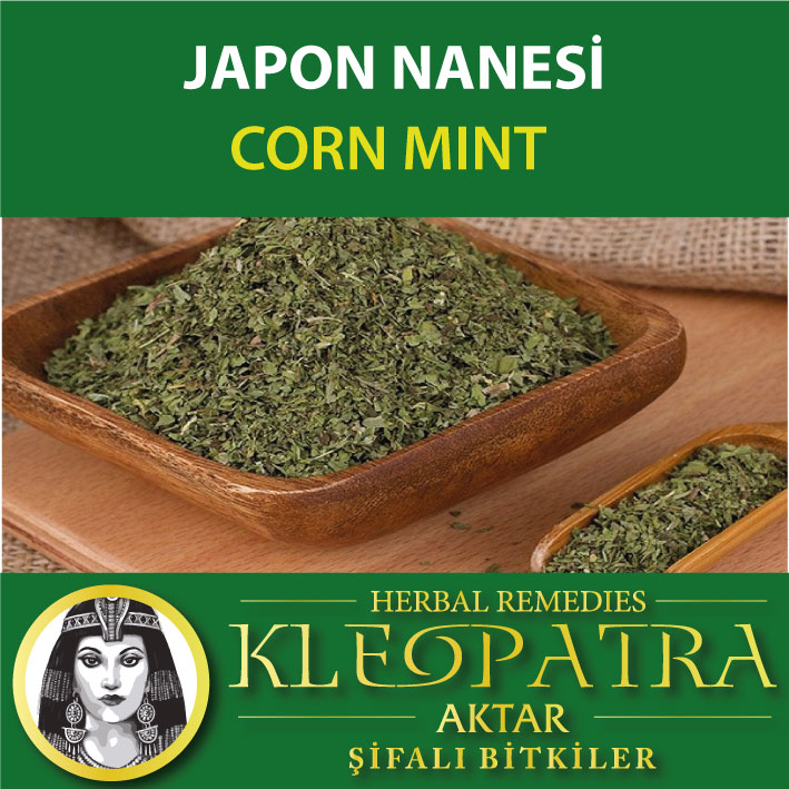 JAPON NANESİ