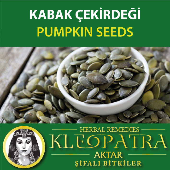 KABAK ÇEKİRDEĞİ