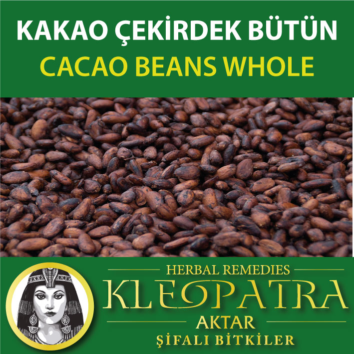 KAKAO ÇEKİRDEK BÜTÜN